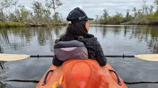 Kayaking with Alligators in Manchac Swamp, New Orleans-  LA to Argentina - [USA Ep.39]