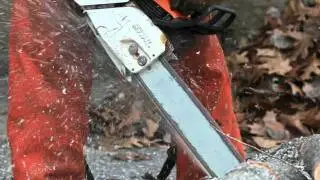 North Star Tree Care Inc., Tree Services, Pierz, MN