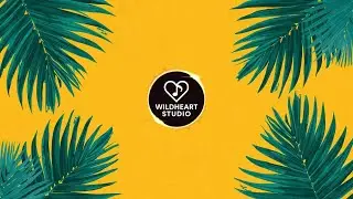 Rest Comes First &mdash; Tropical Music Loop (90 Minutes)