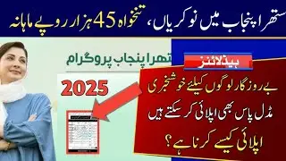 Suthra Punjab Program Jobs 2025 | Pakistan Government Jobs | LGRDD Latest Jobs