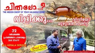 Best pest control in home|good day pest control|fumigation and house keeping service|Termite control