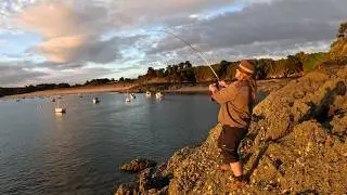 Shore fishing: The fish are here! (jig and natural bait)