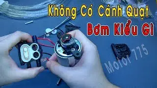 Mở Hộp Khám Phán Bên Trong Máy Bơm Nước RUNG Không Có Cánh Quạt Cực Lạ  Bên Bán linh kiện