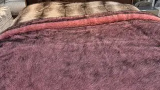 Sederek ticaret mərkəzi şirniyat bazarı sıra 14 mağaza 38/40 051/725/33/38 pünhan 