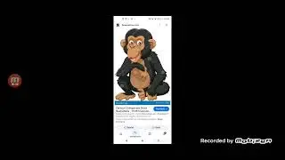 Monkey Species Finger Family | Nursery Rhyme for Children | 4K Video