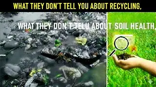 This Is Why Recycling Isn't Working | The Global Waste Crisis Explained#Recycling #GlobalWasteCrisis