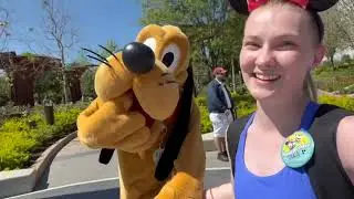 Top Disney Character Interactions of 2024