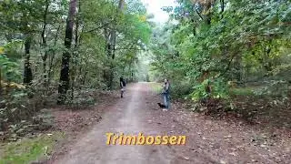 Fietsroute 5 DeSpecht Trimbossen Kerk
