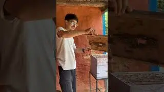 kati dherai bees haixan😱😱😱😱😱😱😱 dar lagyo  mahuri nikalda 😭🤣 #shorts #ytshorts #bees #mahuri