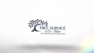 Tree Service of San Antonio | San Antonio, TX | 12/28/2023