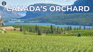 Kelowna & the Okanagan Valley | Biking Myra Canyon, Orchards & Wine Country
