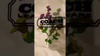 Coach Floral Badge T-Shirt In Organic Cotton
