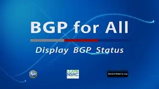 Display BGP Status