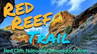 Red Reef Trail, Red Cliffs National Conservation Area
