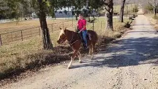Trail ride