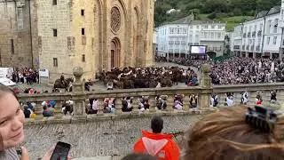 Bajada de los caballos - As San Lucas 2022 - Mondoñedo (Lugo)