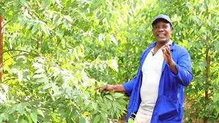 Land the greatest resource in Social Economics