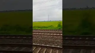 Train window view 🚂🚃🪟 || nature . #train #shorts