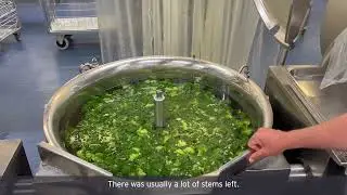 Can a hospital kitchen be tasty and sustainable?