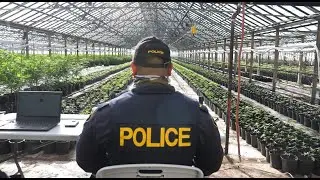 OPP PROVINCIAL ENFORCEMENT TEAM TACKLES ILLEGAL CANNABIS MARKET