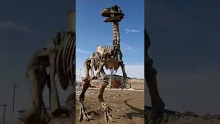 the most  mysterious dinosaur that ever found is  Deinocheirus or&nbsp;terrible hand