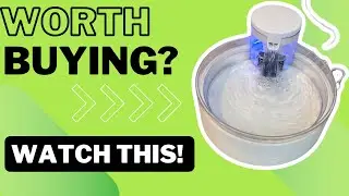 Review of PetSafe Outlast Pumpless Dog Water Fountain 128 oz