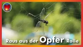 Depressionen überwinden: Raus aus dem Opferbewusstsein!