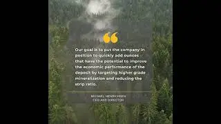 Words from Our CEO: Advancing the Moss Gold Project Enhancing Economic Potential