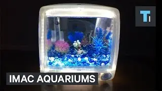 These aquariums are made out of old iMacs