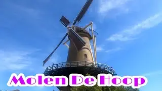 Molen 