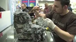 Aquascaping Contest 