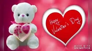 Teddy bear day || Happy teddy bear day whatsapp status new 2020 || Valentines day week