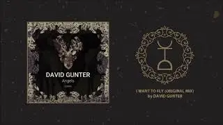 David Gunther - I Want To Fly (Original Mix)