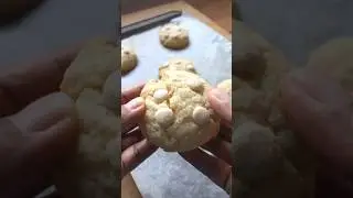 Coconut white chocolate cookies