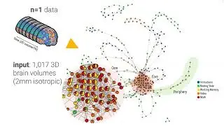 [MIND 2023] Manish Saggar Methods Tutorial: Topological Data Analysis