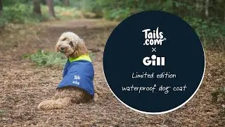 tails.com x Gill -Limited edition waterproof dog coat