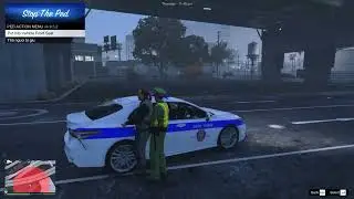 GTAV-LSPDFR VIETNAM -POLICE ARREST TWO SUSPECTS FOR USING GUNS