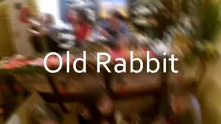mannequin challenge in Old Rabbit