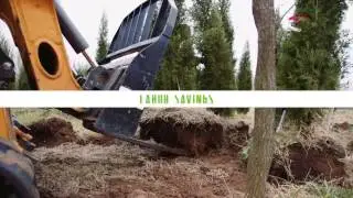 Harvesting Your Trees with Root Control Bags