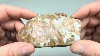 Slab to Cab - Texas Jaspagate from the Alpine Area