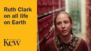 The Plant Family Tree - Ruth Clark on all life on Earth