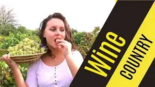 Hunter Valley Wine Tasting Tour | Lot of Things to Do
