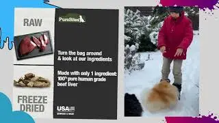 Buy Premium Dry Dog Food /PureBites Beef Freeze Dried Dog Treats Made in USA