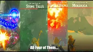 Beating All Minibosses in BOTW-challenge** WARNING LOUD TURN IT DOWN**