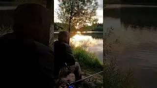 Carp fishing with a float rod #fishing #carpfishing #floatrod