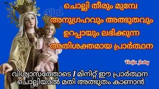 പരിശുദ്ധ കർമ്മലനാഥ യോടുള്ള ഏറ്റവും അതിശക്തമായ പ്രാർത്ഥനprayer of karmala matha miracleprayers#shorts