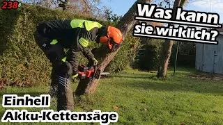 Bäume fällen mit der Akku-Kettensäge? | Der TEST! | Einhell GE-LC 36/35 Li-Solo | Mr. Moto