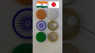 Japan flag and India flag painting on coins
