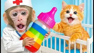 Adorable Monkey Baby Feeds Milk to Little Kittens 🐒🍼 #monkey #monkeybaby #animalshome