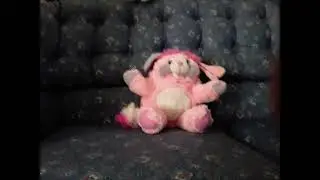 Hey Party Popples!